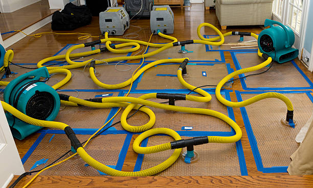 Professional Crawl Space Water Removal technician working in Millstadt, IL